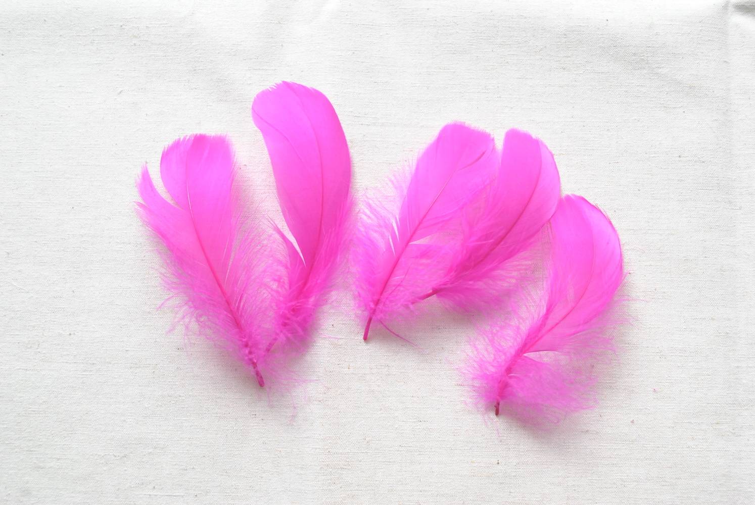 Large Bright Pink Feather